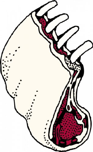 Clipart Info - Lamb Chop Clipart (305x500)