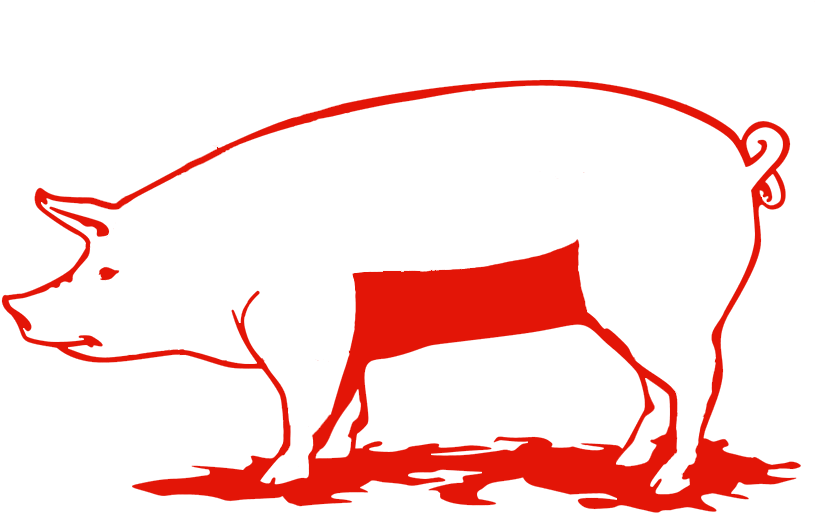 Pork Belly - Pork (1051x757)