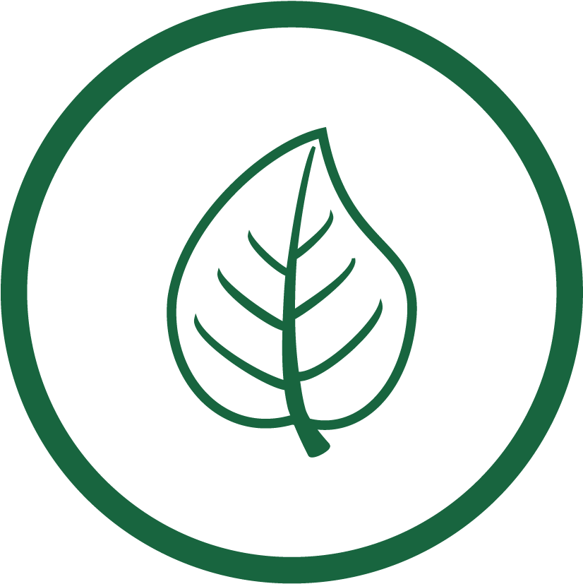 Environmental Engineering Services - Everglades Alligator Farm (843x842)