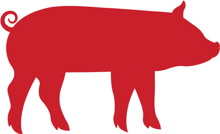 Pig - Antibiotic Use In Livestock (567x397)