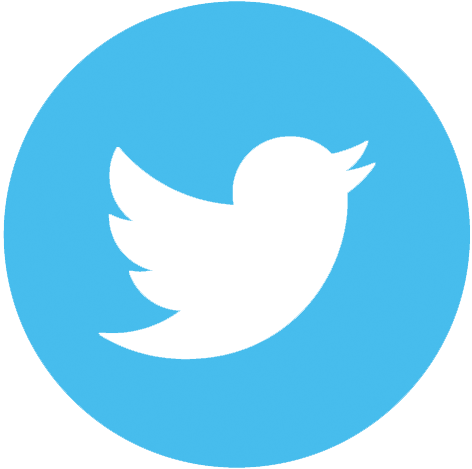 Facebook Login Twitter Login Google Login - Transparent Background Twitter Logo (472x469)