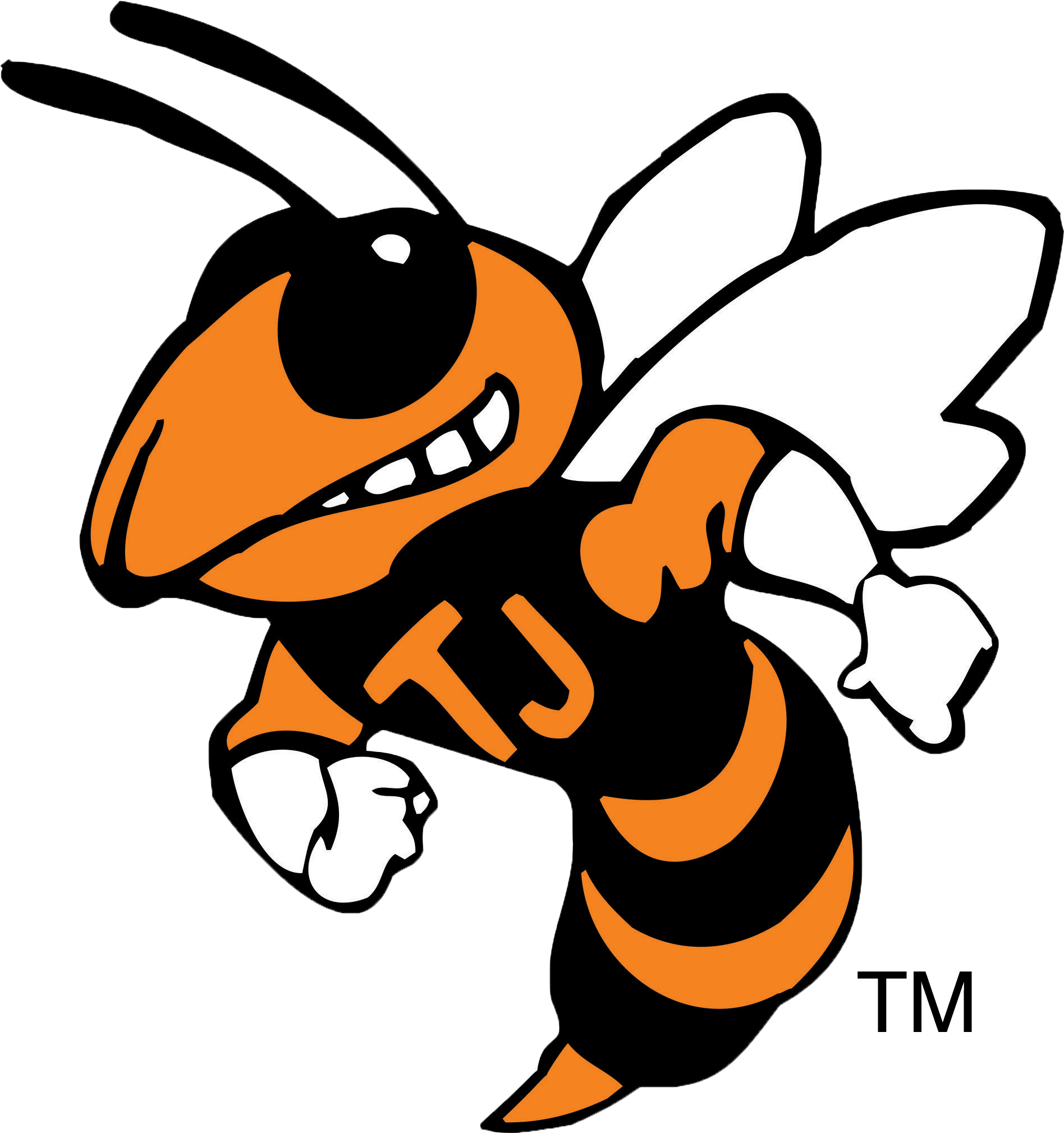 Booker T Washington High School Logo (1896x2019)