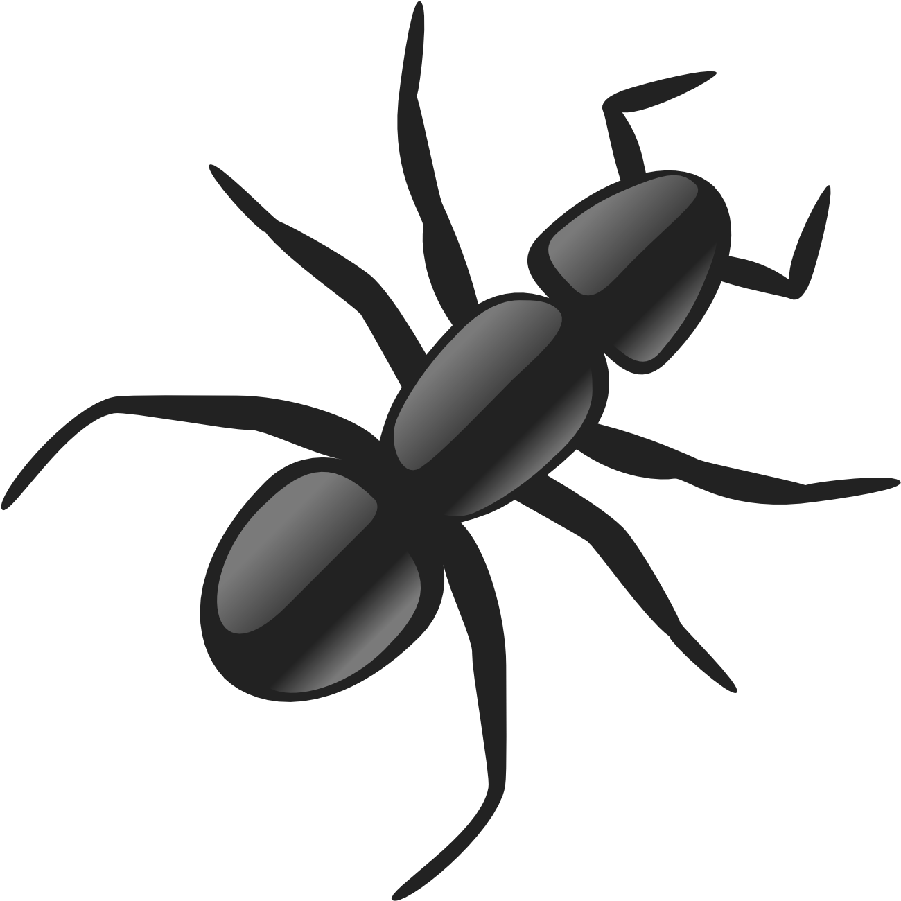 Elegant Clip Art Of An Ant Medium Size - Ant Clip Art (1331x1331)