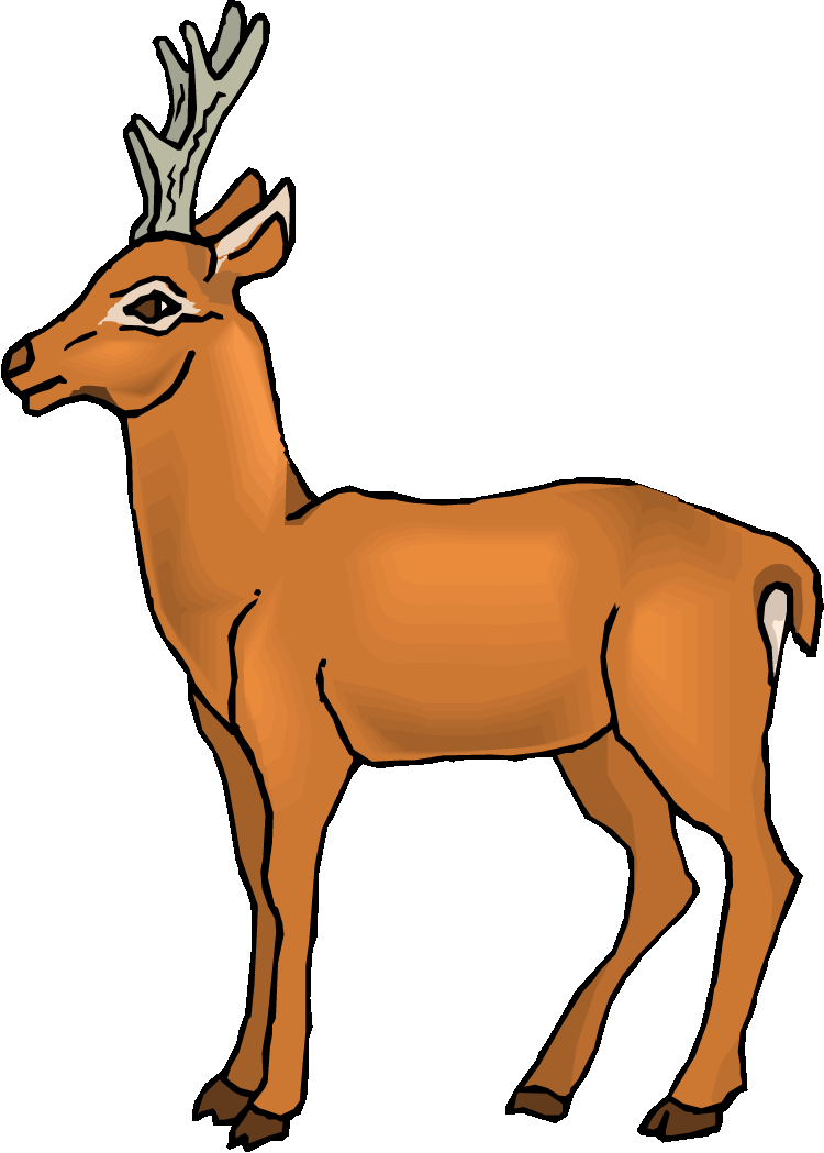 Free Deer Clipart Ue0q0c Clipart - Deer Clipart Gif (750x1049)