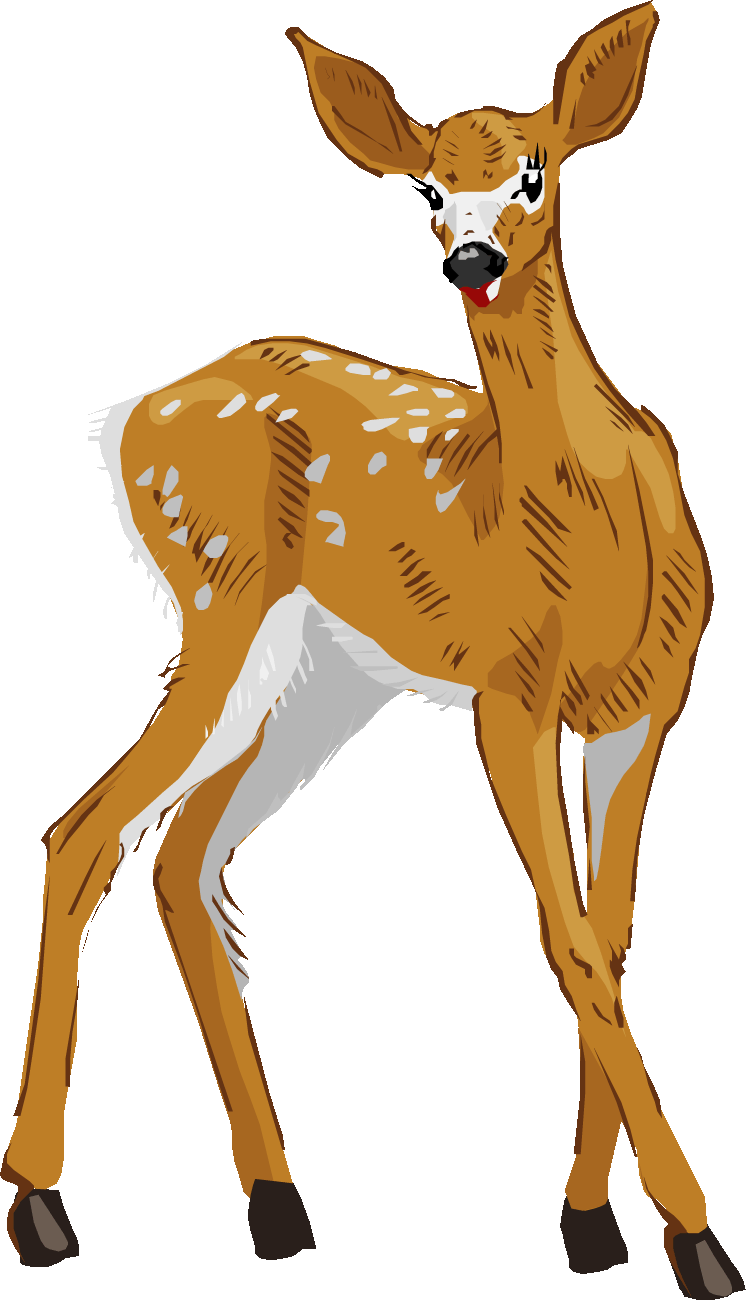 Whitetail Deer Jumping Clipart Clipart Kid - Clip Art (750x1301)