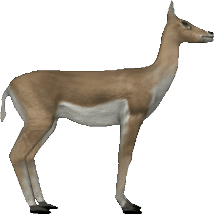 Deer Free Png Transparent Background Images Free Download - Animated Gif Gazelle Gif (500x467)