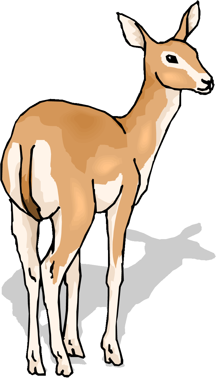 Pin Free Deer Clipart Cake On Pinterest - Deer Free Clip Art (750x1309)