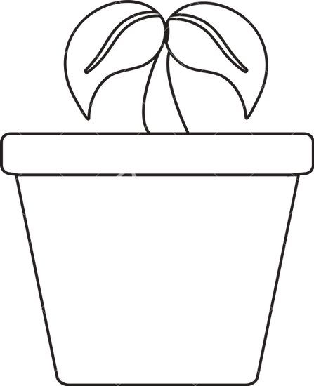 Drawn Pot Plant Transparent - Ecology (447x550)