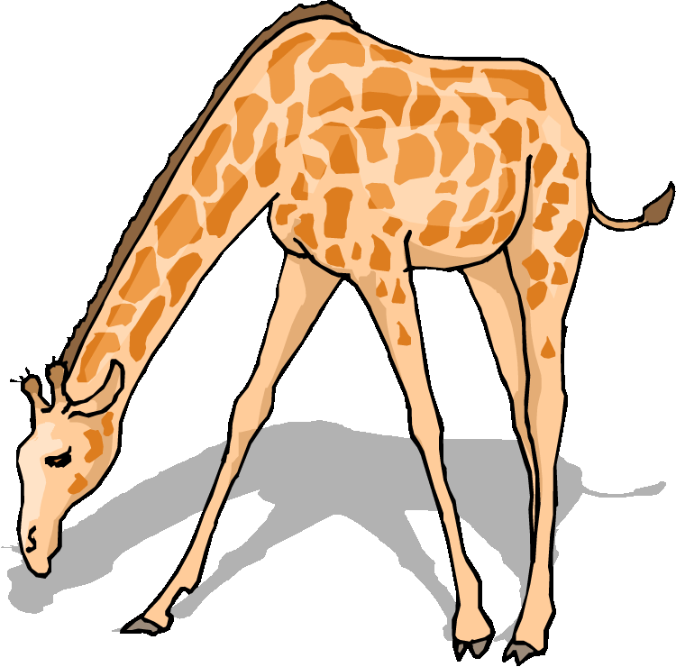 Free Giraffe Clipart - Animal Clipart (750x740)