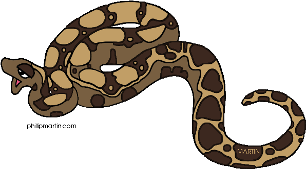 Rainforest Animals Clip Art By Phillip Martin - Boa Clipart (648x393)