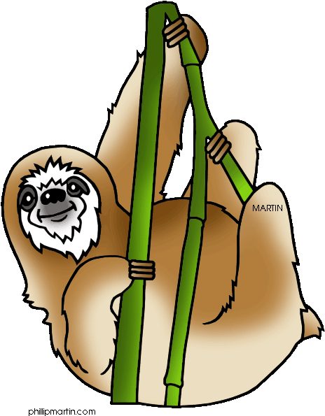 Rainforest Animals Clipart - Amazon Rainforest Clip Art (495x630)
