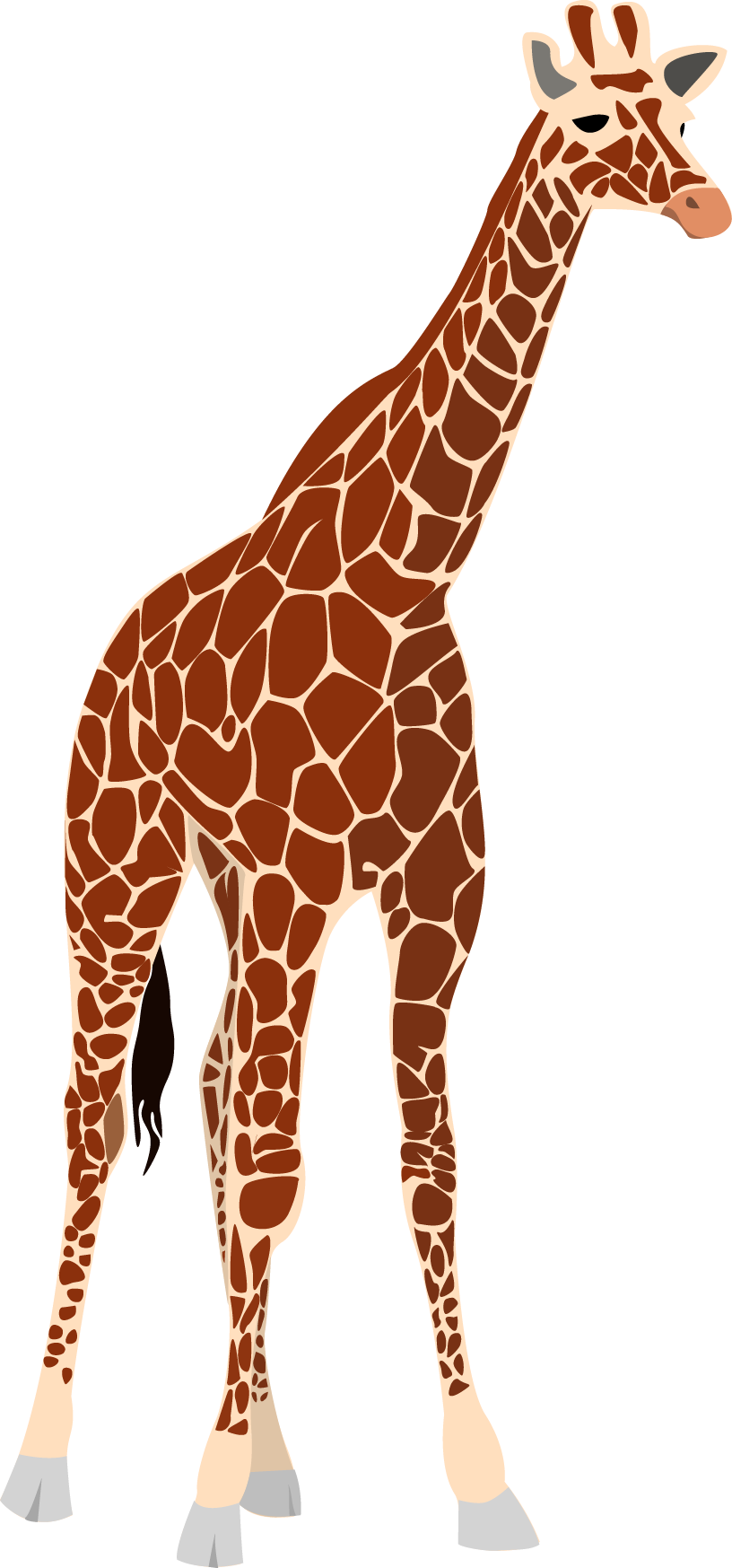 Vector Clipart Giraffe - Giraffe Free Vector (816x1747)