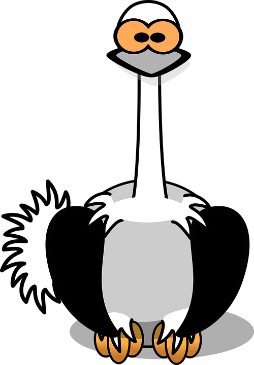 Safari Animal Clipart 28, Buy Clip Art - Cartoon Ostrich (500x720)