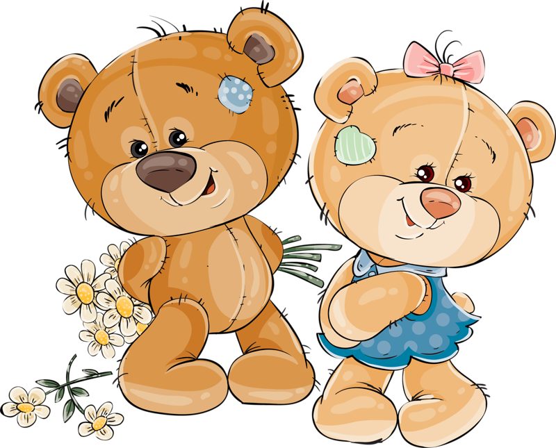 Album - Teddy Bear Give Flowers (800x645)