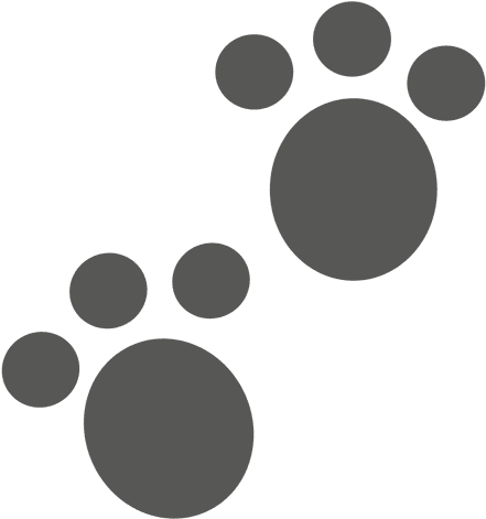 Footprints Clipart Rhino - Pegadas De Coelho Png (512x512)