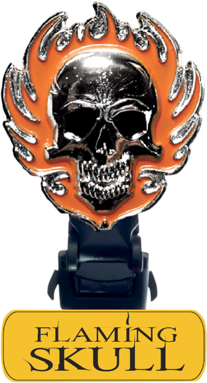 6 Inch Flaming Skull Boot Straps - Biker Boot Straps Boot Strap Clips : Flaming Skull (755x755)