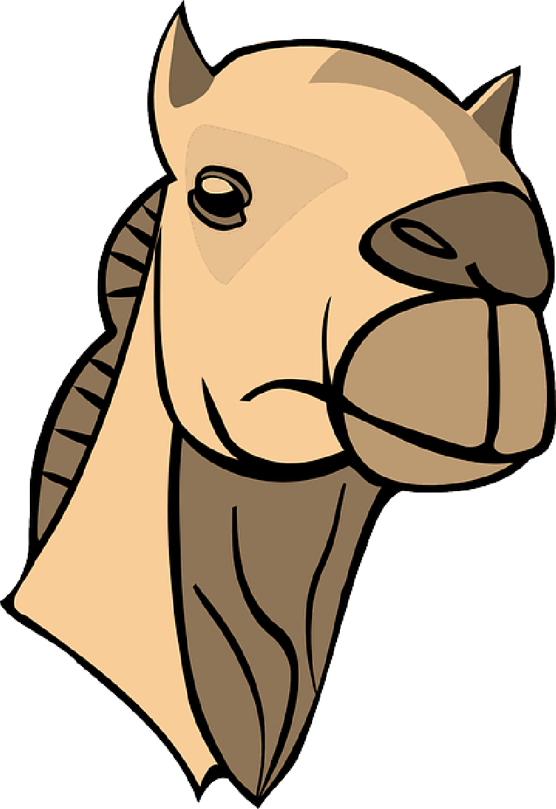Head, Water, Sand, Face, Cartoon, Camel, Desert, - Camel Head Clipart (1650x2400)