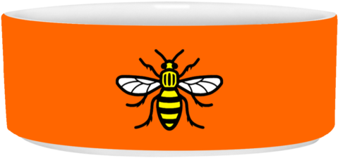 Manchester Bee Pet Bowl - Manchester Bee Flex Fit Twill Baseball Cap (480x480)
