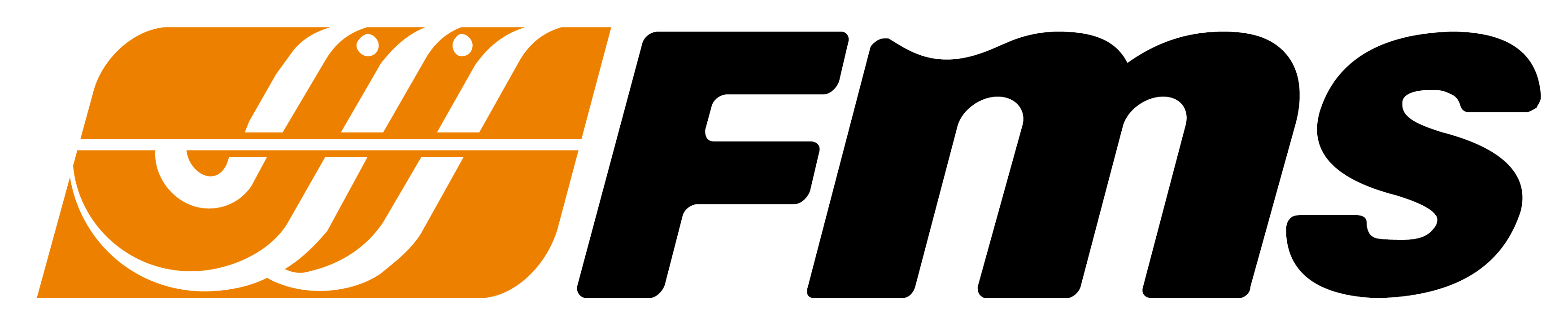 Excellence In The Skies - Fms Rc Logo (3496x728)