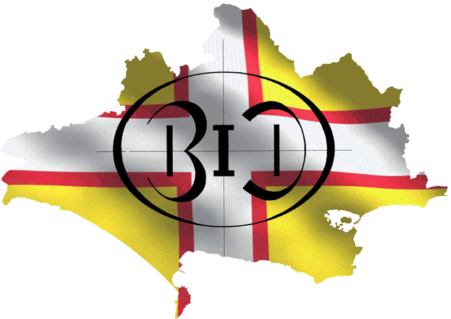 Transparency Statutory Information - Graphic Design (650x459)