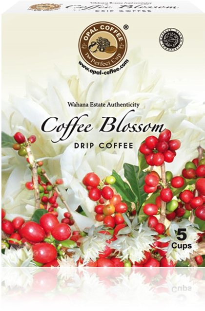 Wahana Coffee Blossom Drip Coffee - Coffee (569x675)
