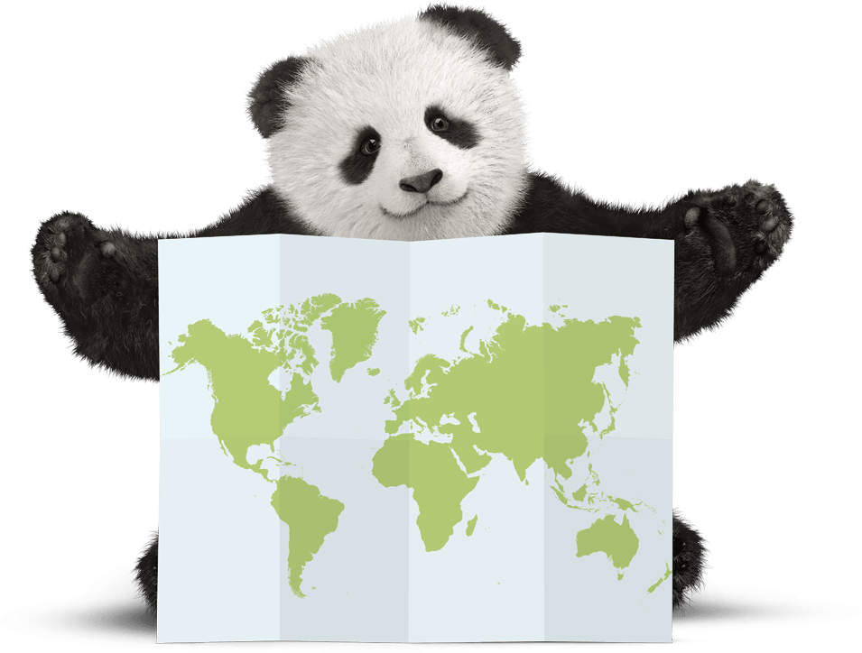 Panda Map With Legs1 - World Map Poster Cool (955x724)