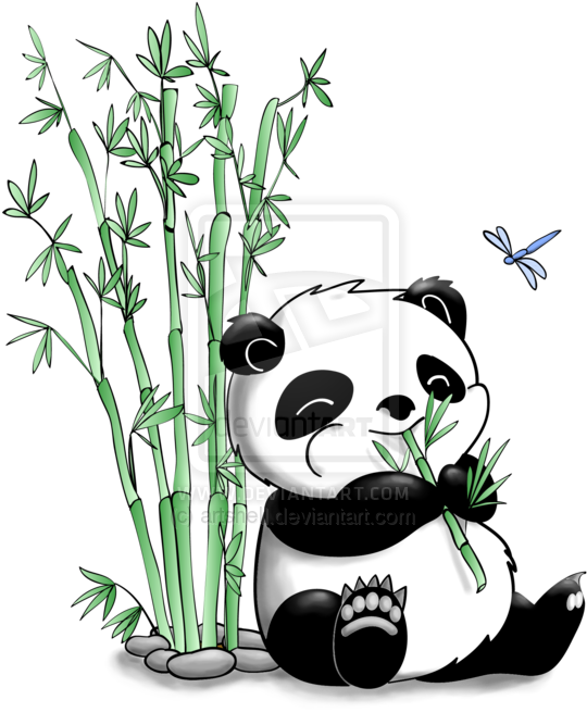 Pin By Will Fisher On Boom Bewm - Panda And Bamboo Drawing (600x682)
