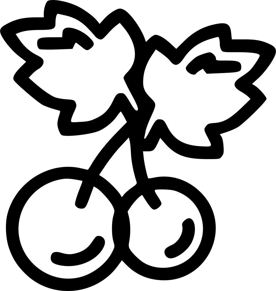 Christmas Mistletoe Holly Leaf Wreath Cherry Comments - Emblem (928x980)