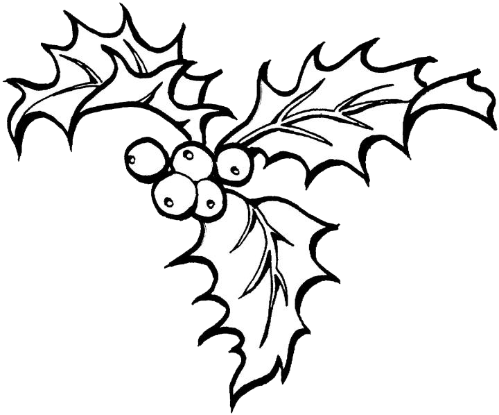 Christmas Holly Coloring Pages - Christmas Holly Coloring Pages (720x598)