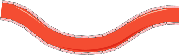 Arteries - Soccer-specific Stadium (680x209)