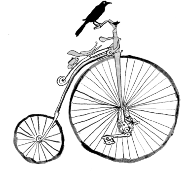 Eva-bicycle - Bicycle (555x350)