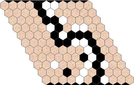 There Are Two Players, One With A Large Supply Of White - Game In Hex Board (486x320)