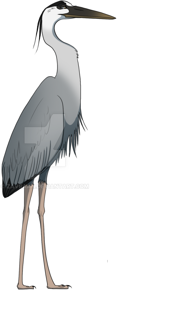 Heron Clipart Black And White - Great Blue Heron Png (1024x1298)