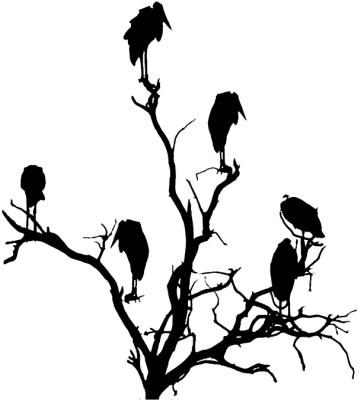 Vulture In A Tree Silhouette - Vulture In A Tree Drawing (414x517)