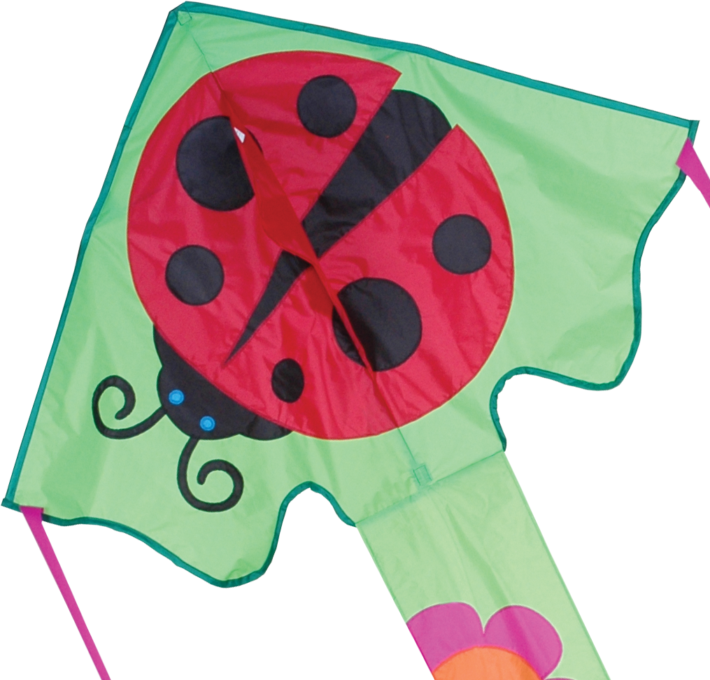 Large Easy Flyer Kite - 120cm Ms. Ladybug - Large Easy Flyer Kite - Best Kite (1024x1024)