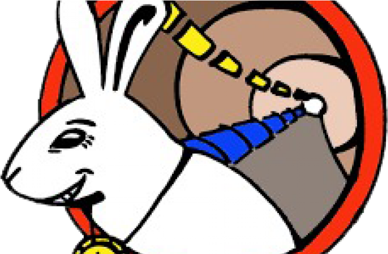 Read Full Story - White Rabbit Cern (800x500)