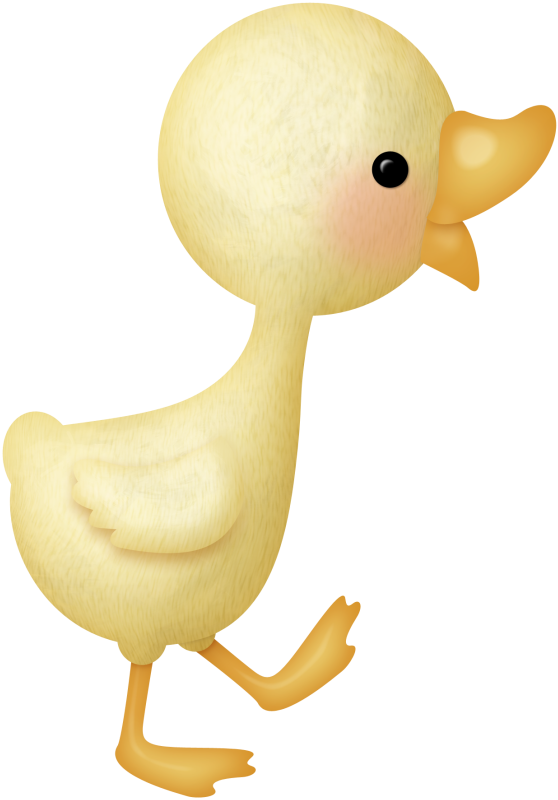Фото, Автор Cutepictures На Яндекс - Cute Ducky Png (558x800)