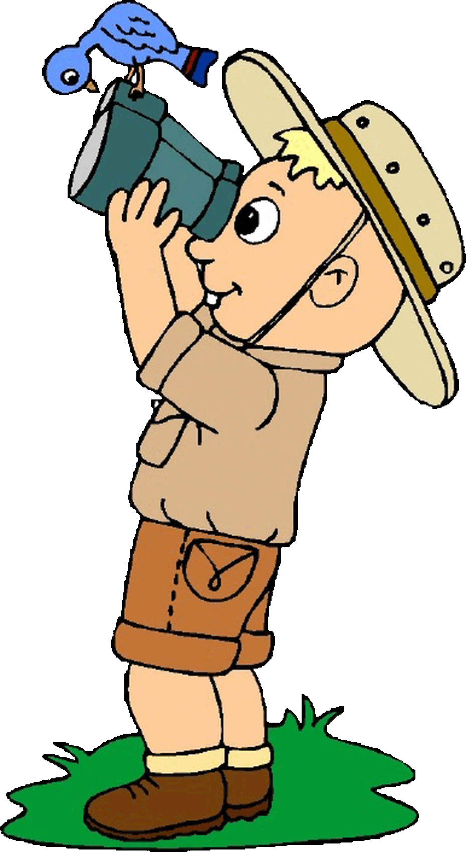 All Souls Ce Primary And Nursery Birdwatch Bird Watching - Bird Watching Clipart (930x1700)