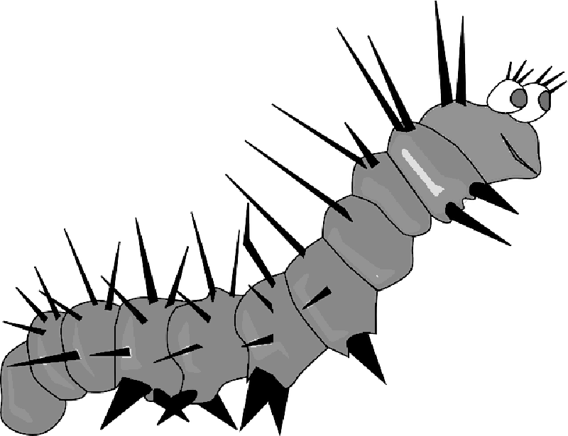 Caterpillar, Bug, Butterfly, Cocoon, Worm - Caterpillar (800x615)