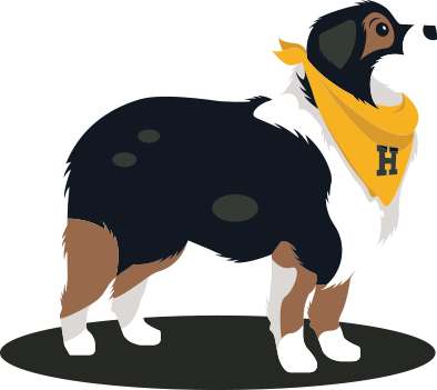 Orthopets Dog Brace - Dog Catches Something (394x351)