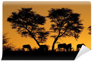 Wildebeest And Tree Silhouetted Against An African - Wildebeest (400x400)