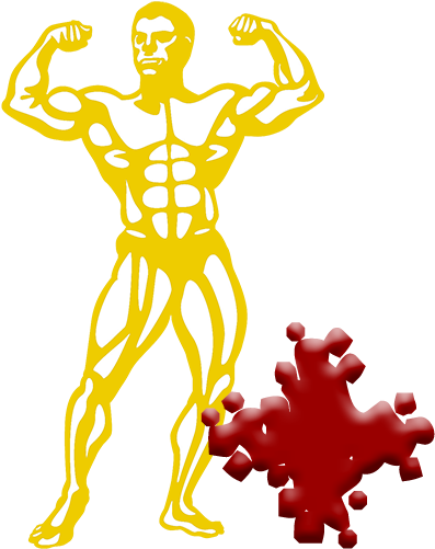 Skinfold Body Fat - Fashion Institute Of Technology (512x512)