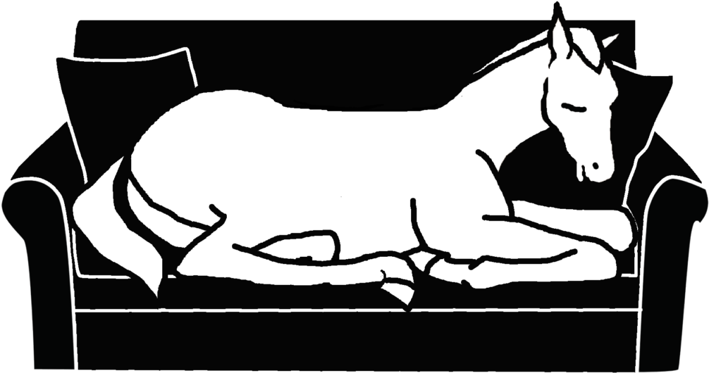 Image Navigation - Mane (1024x531)