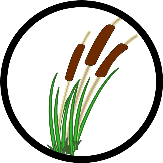 Marsh Water Restore Clip Art At Clker - Swamp Wetland Clipart (600x573)