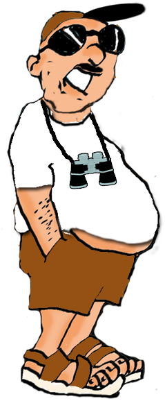 Fog Birding - Tropical Cyclone (270x640)