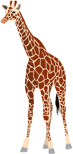 Mammals Animals, Outline, Cartoon, Giraffe, Free, Mammals - Giraffe Png (320x640)