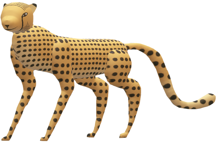 South African Cheetah - Cheetah (738x497)