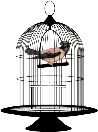 Free Png Cage Bird Png Images Transparent - Bird In Cage Png (481x520)