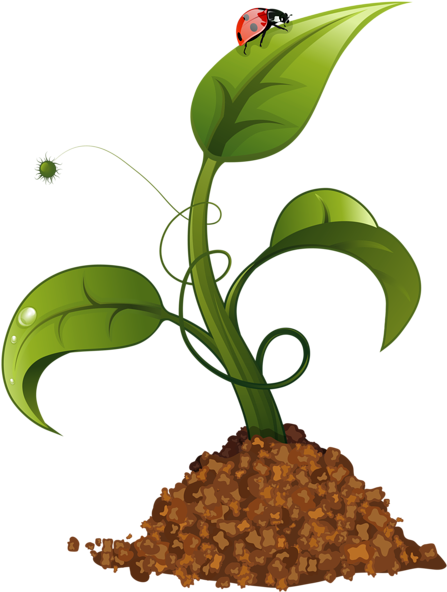 Spring Flower Crop Png Clip Art Image Vector Pinterest - Crop Clipart (465x600)