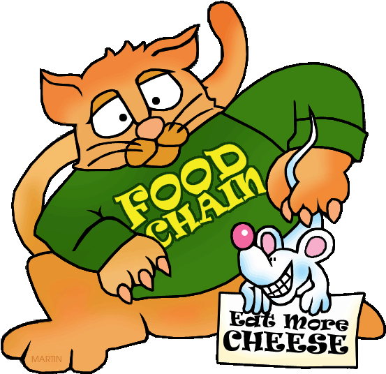 Food Chain With Cat And Mouse - Food Chain Clip Art (648x562)